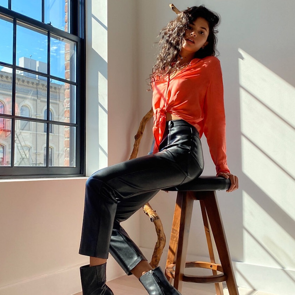 NWT Aritzia: Wilfred Rebel Pant